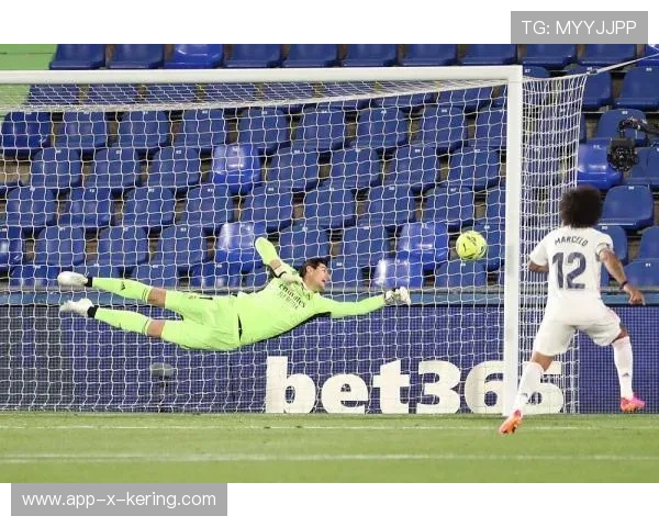 西甲比赛中,专家专栏详解门将扑救成功的战术条件,西甲门将扑救成功率