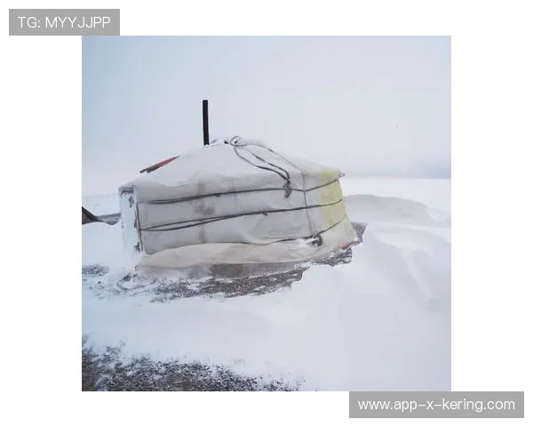 极端天气实录：解析在世界杯赛场经历的暴风雪与沙尘暴对竞技的摧毁。